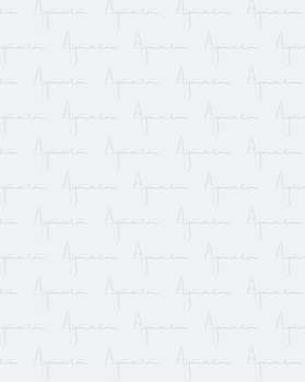 Купить BESTSELLER WOMEN Spring mix#15 кг оптом в Йошкар-Оле и республике Марий Эл