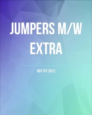 Купить Джемпер муж+жен экстра#15 кг , Лот№2612 оптом в Йошкар-Оле и республике Марий Эл