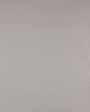 Фотография  500 - Нижнее белье Bon Prix дети#50 шт, ЛОТ №3242 оптом в Йошкар-Оле и республике Марий Эл