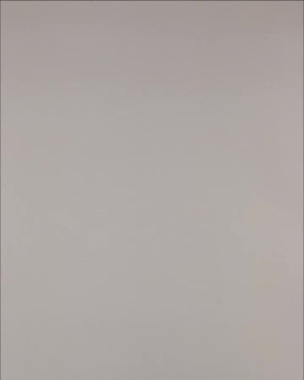 Фотография  946 - Нижнее белье Bon Prix дети#50 шт, ЛОТ №3242 оптом в Йошкар-Оле и республике Марий Эл