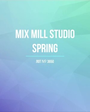Купить MILL STUDIO Spring mix#15 кг, ЛОТ №3650 оптом в Йошкар-Оле и республике Марий Эл
