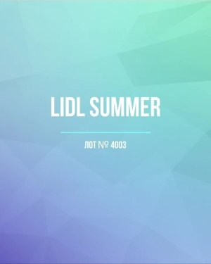 Купить LIDL Summer#20 кг, ЛОТ №4003 оптом в Йошкар-Оле и республике Марий Эл