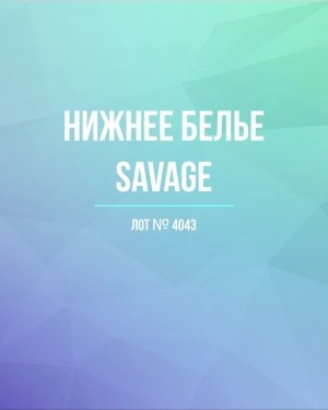 Купить Нижнее белье Savage#57 шт, ЛОТ №4043 оптом в Йошкар-Оле и республике Марий Эл