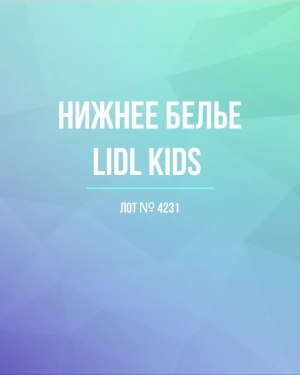 Купить Нижнее белье LIDL Kids#5 кг, ЛОТ №4231 оптом в Йошкар-Оле и республике Марий Эл