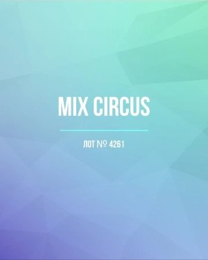 Купить CIRCUS mix #13 кг, ЛОТ №4261 оптом в Йошкар-Оле и республике Марий Эл