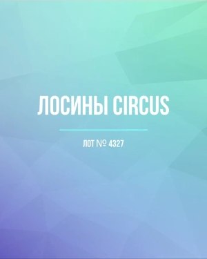 Купить Лосины CIRCUS #6,2 кг, ЛОТ №4327 оптом в Йошкар-Оле и республике Марий Эл