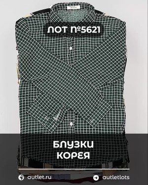 Купить Блузки Корея#20 шт, ЛОТ №5621 оптом в Йошкар-Оле и республике Марий Эл