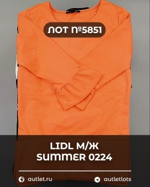 Купить LIDL Summer м/ж 022024#14 кг, ЛОТ №5851 оптом в Йошкар-Оле и республике Марий Эл