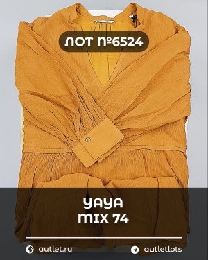 Купить YA YA 062024#39 шт, ЛОТ №6524 оптом в Йошкар-Оле и республике Марий Эл