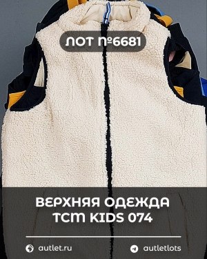 Купить Верхняя одежда TCM kids 074#7 кг, ЛОТ №6681 оптом в Йошкар-Оле и республике Марий Эл