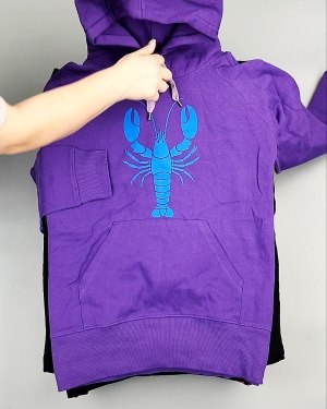 Фотография  610 - Толстовки м/ж (Sweat Tops)#20 кг, ЛОТ №7431 оптом в Йошкар-Оле и республике Марий Эл