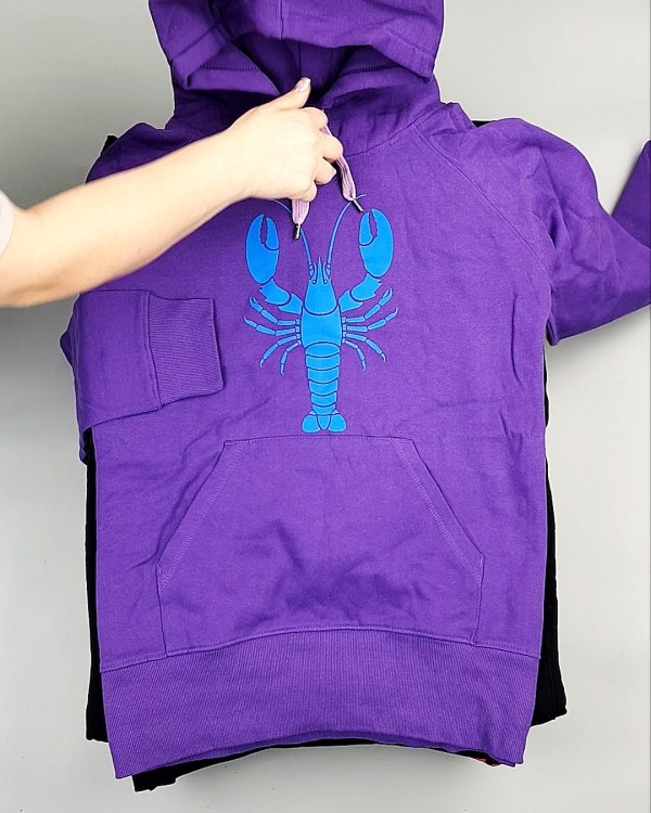 Фотография  412 - Толстовки м/ж (Sweat Tops)#20 кг, ЛОТ №7431 оптом в Йошкар-Оле и республике Марий Эл