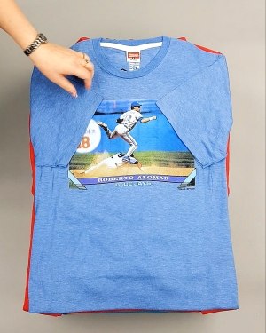 Фотография  298 - HOMAGE CAN 084#10 кг, ЛОТ №7499 оптом в Йошкар-Оле и республике Марий Эл