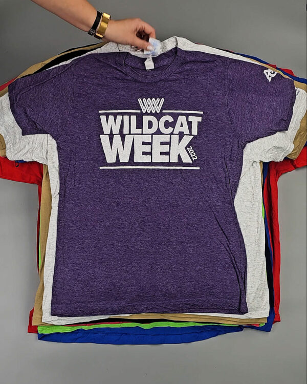 Фотография  769 - Футболки м/ж (Super T-Shirts Printed)#10 кг, ЛОТ СХ-0271 оптом в Йошкар-Оле и республике Марий Эл